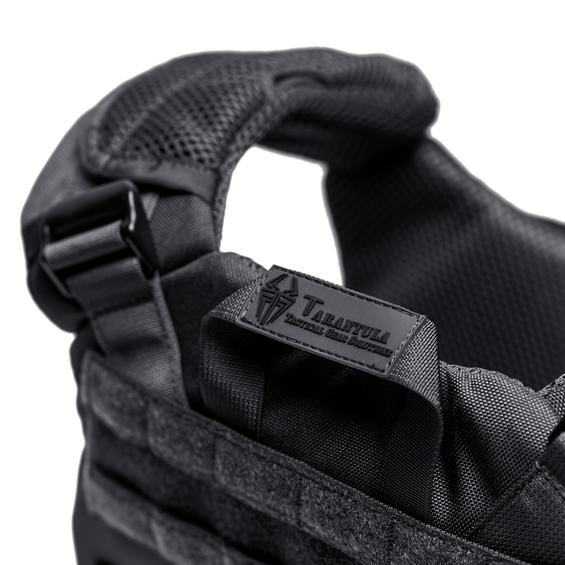 השלמה טרנטולה (10)