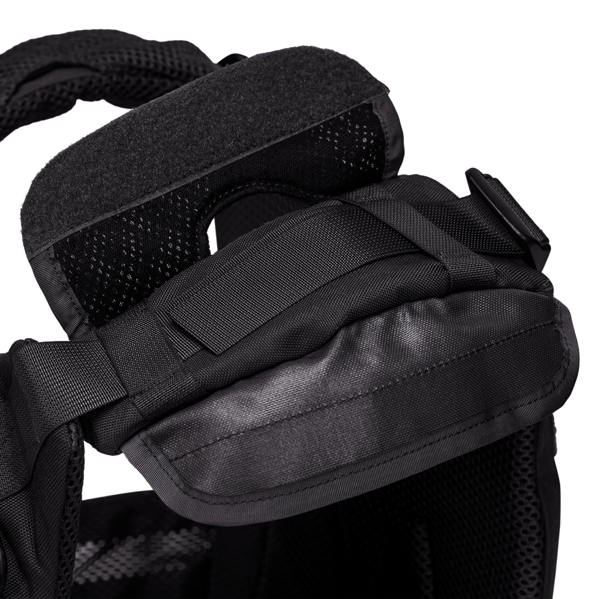 טרנטולה ינואר שחור (134)