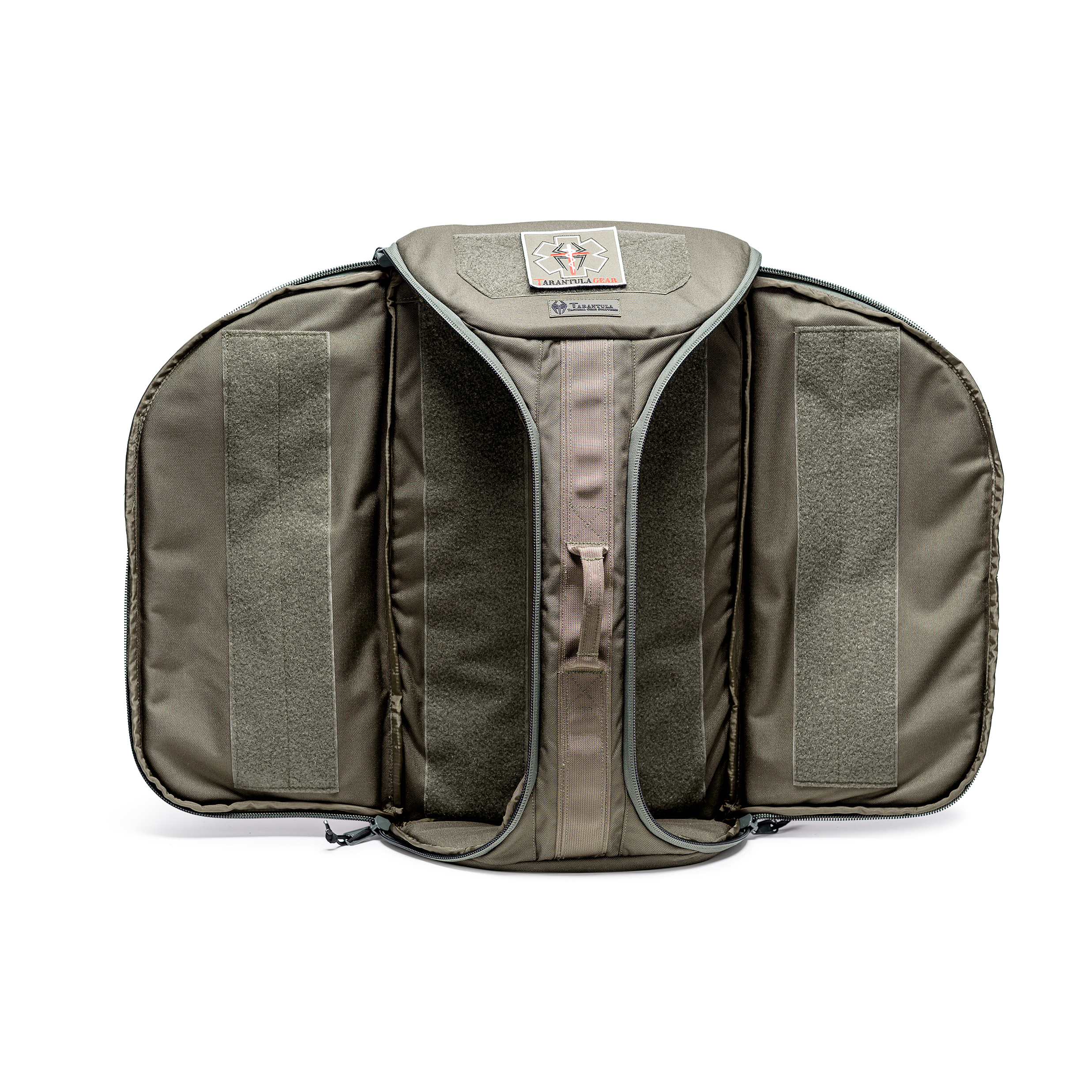 טרנטולה ינואר (258)