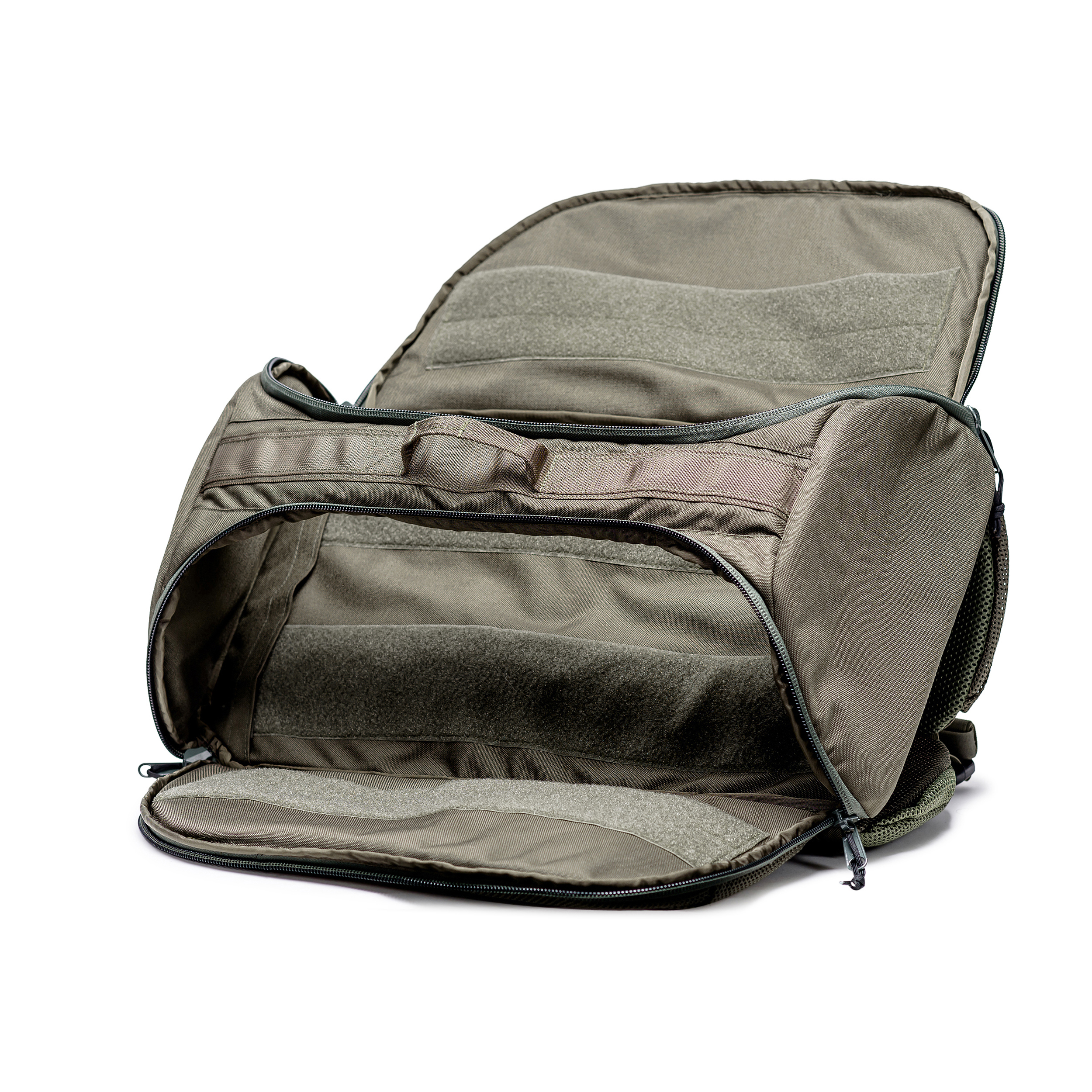 טרנטולה ינואר (259)