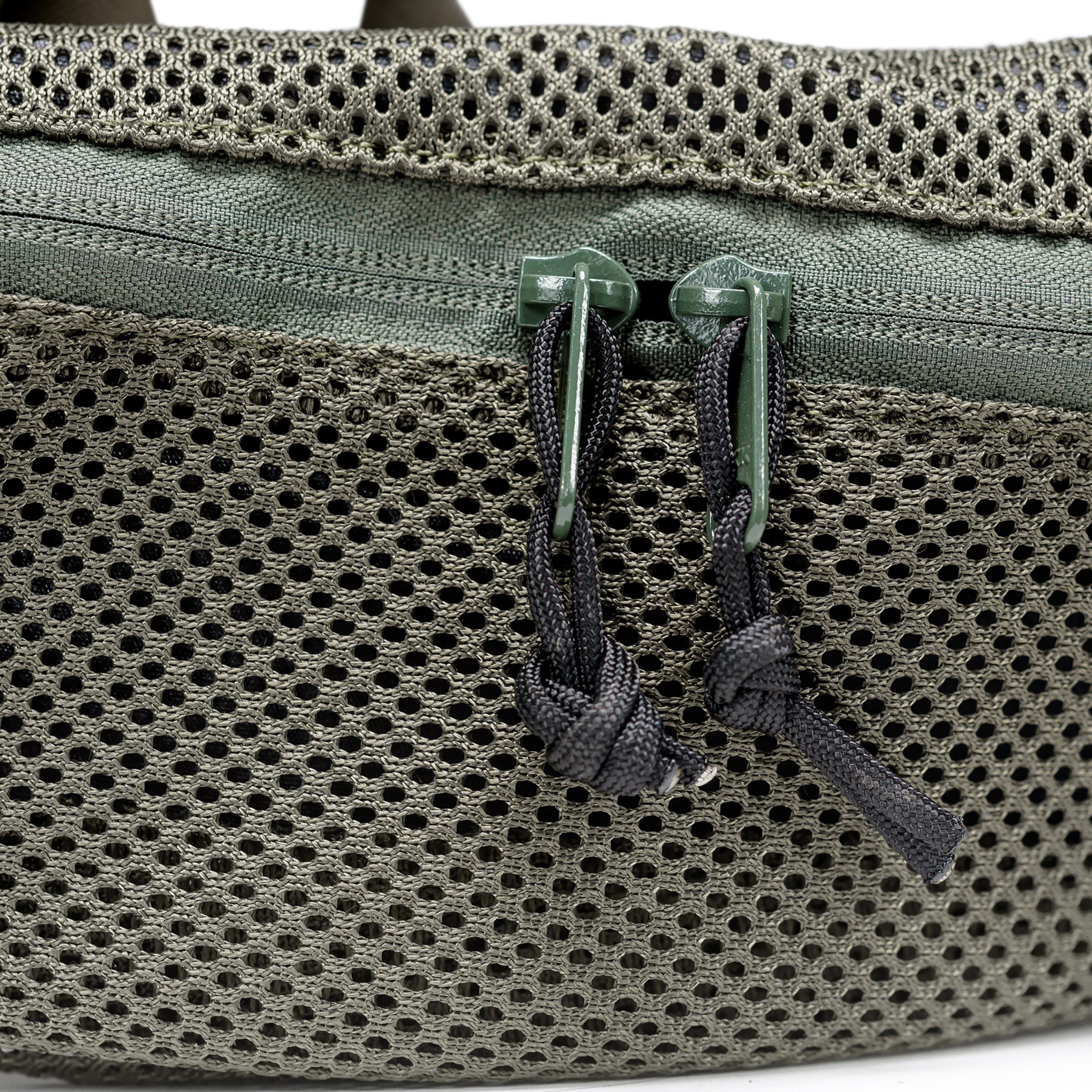 טרנטולה ינואר (334)