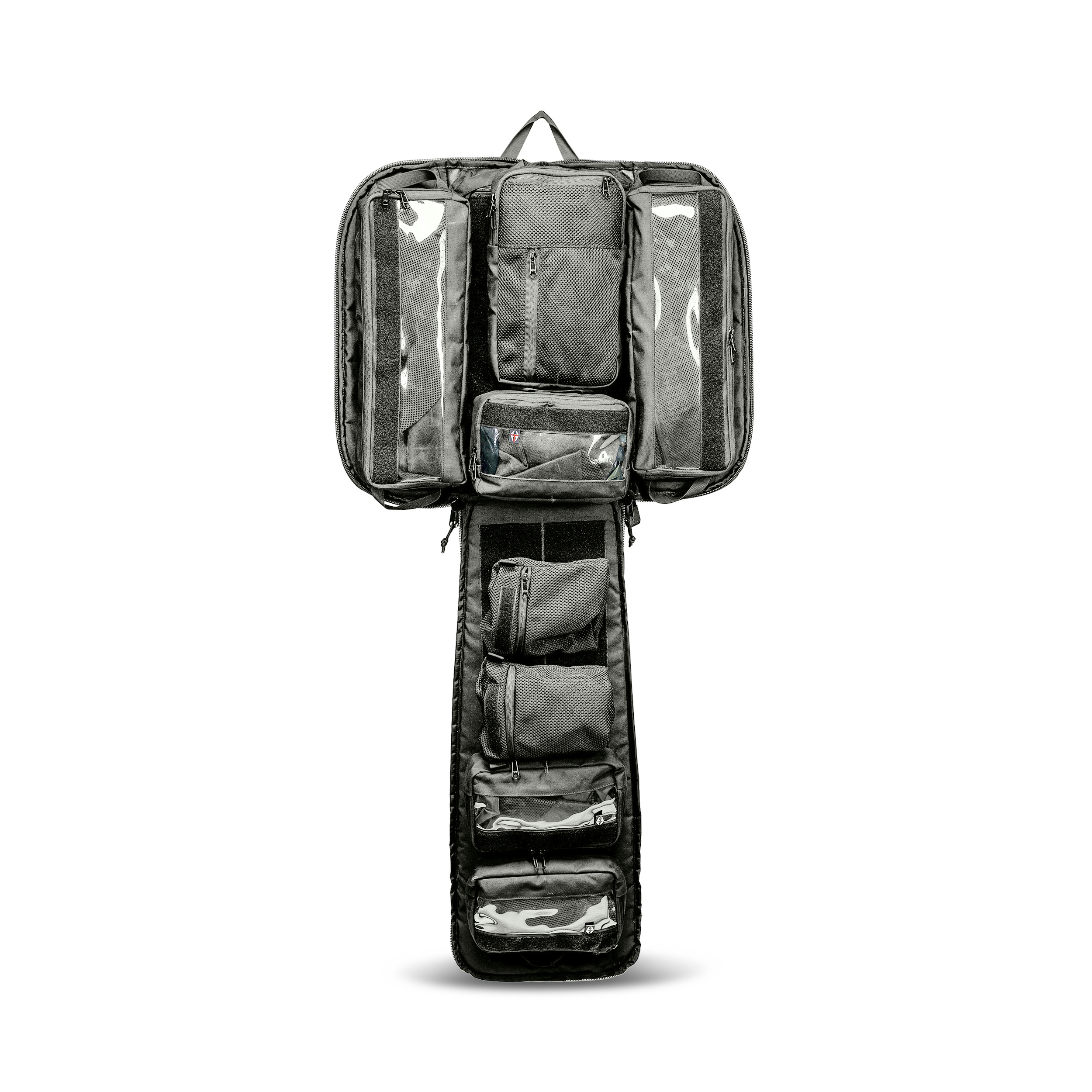 טרנטולה ינואר (392)