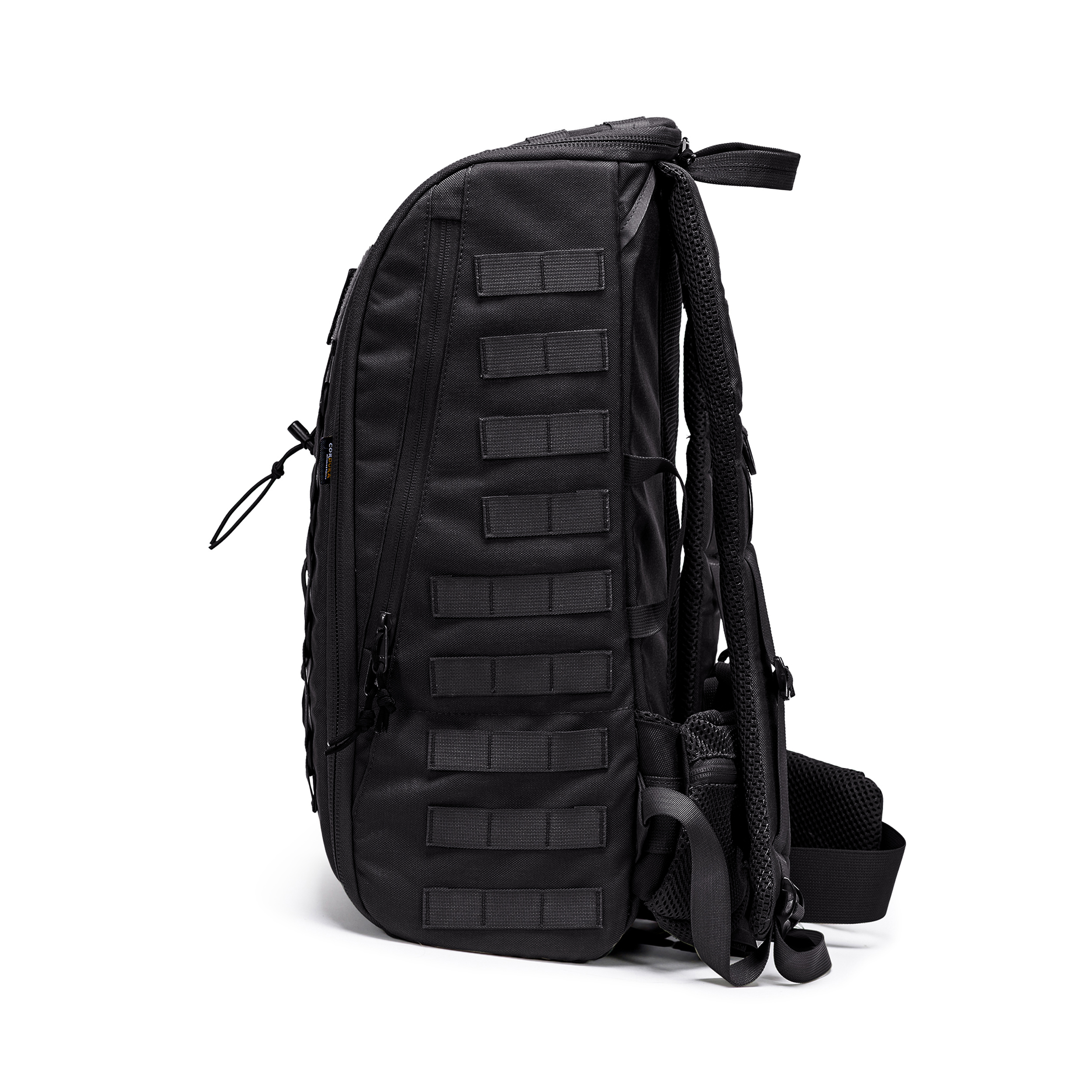 טרנטולה ינואר שחור (110)