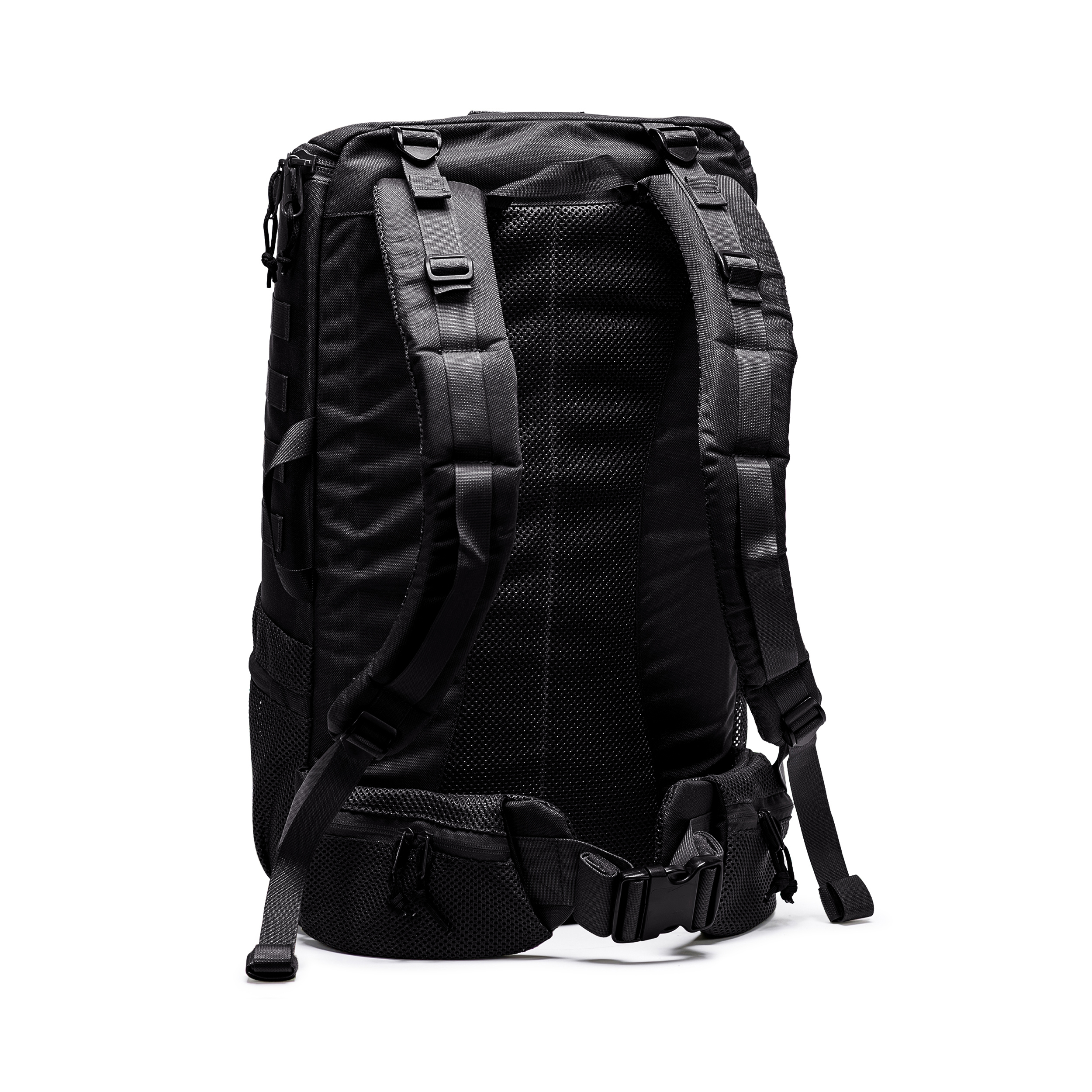 טרנטולה ינואר שחור (111)