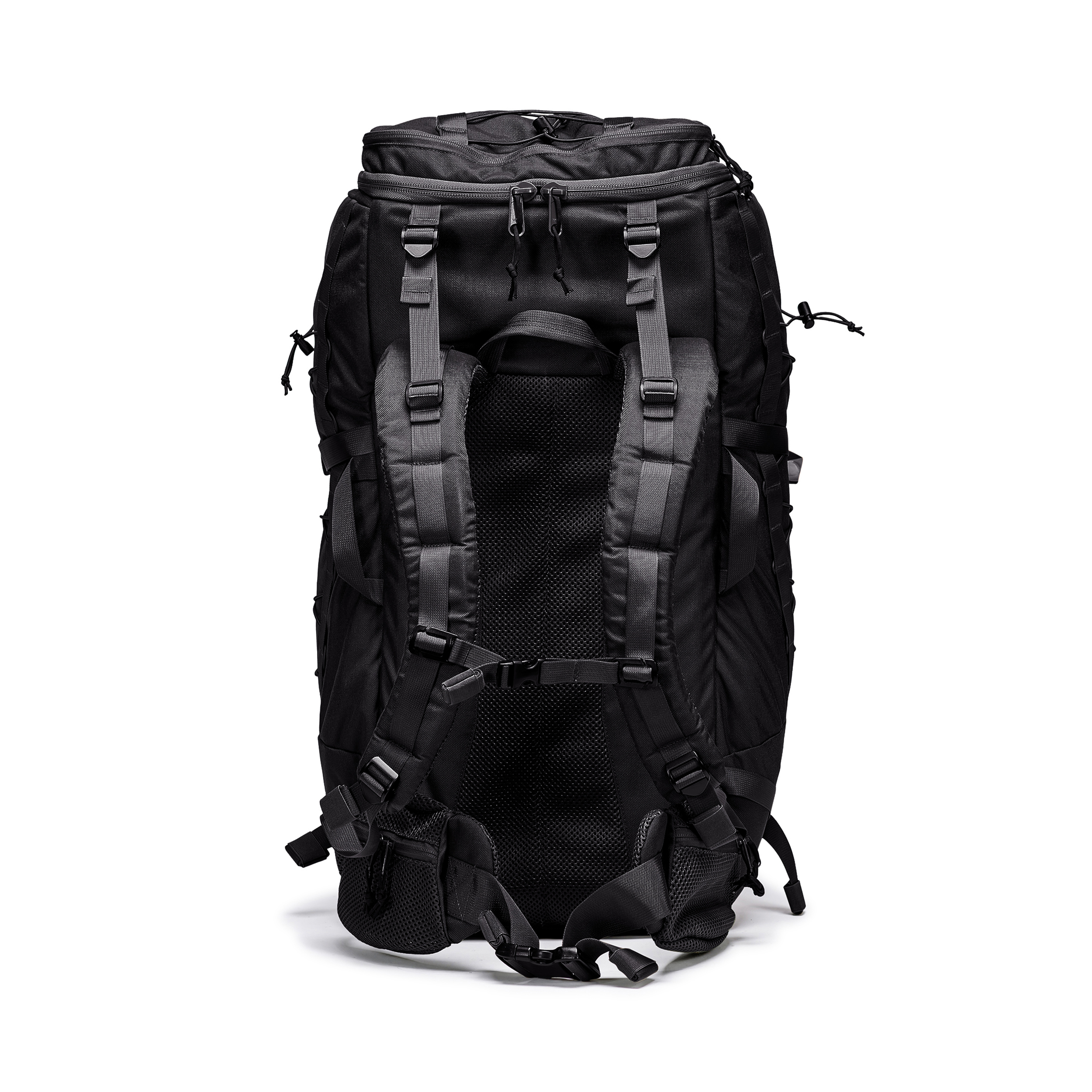 טרנטולה ינואר שחור (119)