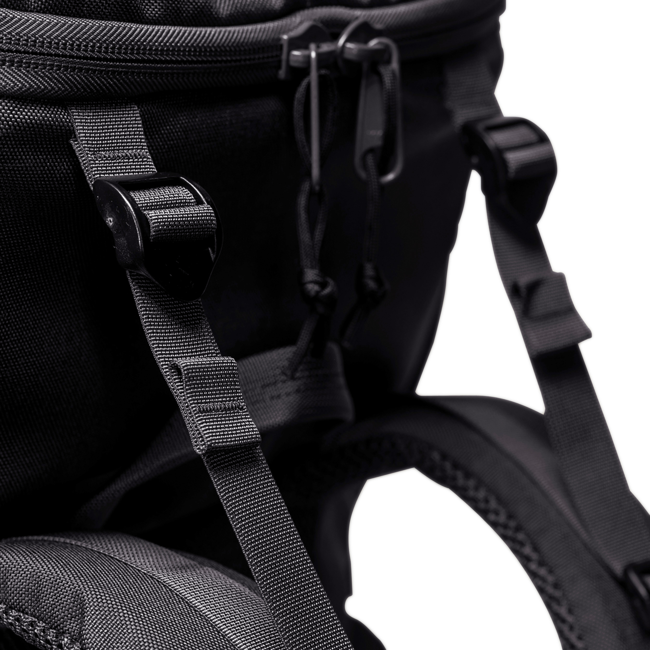 טרנטולה ינואר שחור (138)