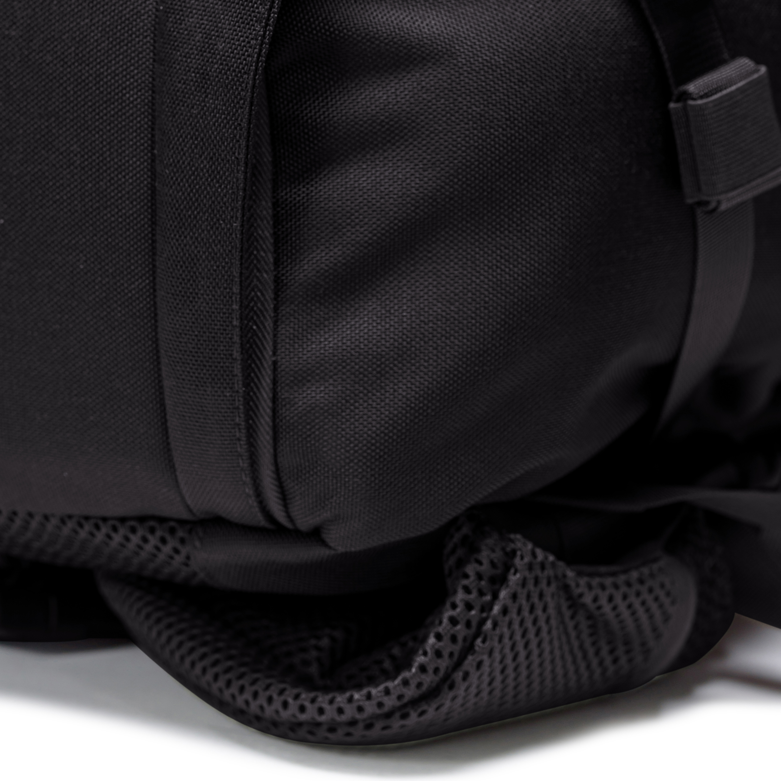 טרנטולה ינואר שחור (139)