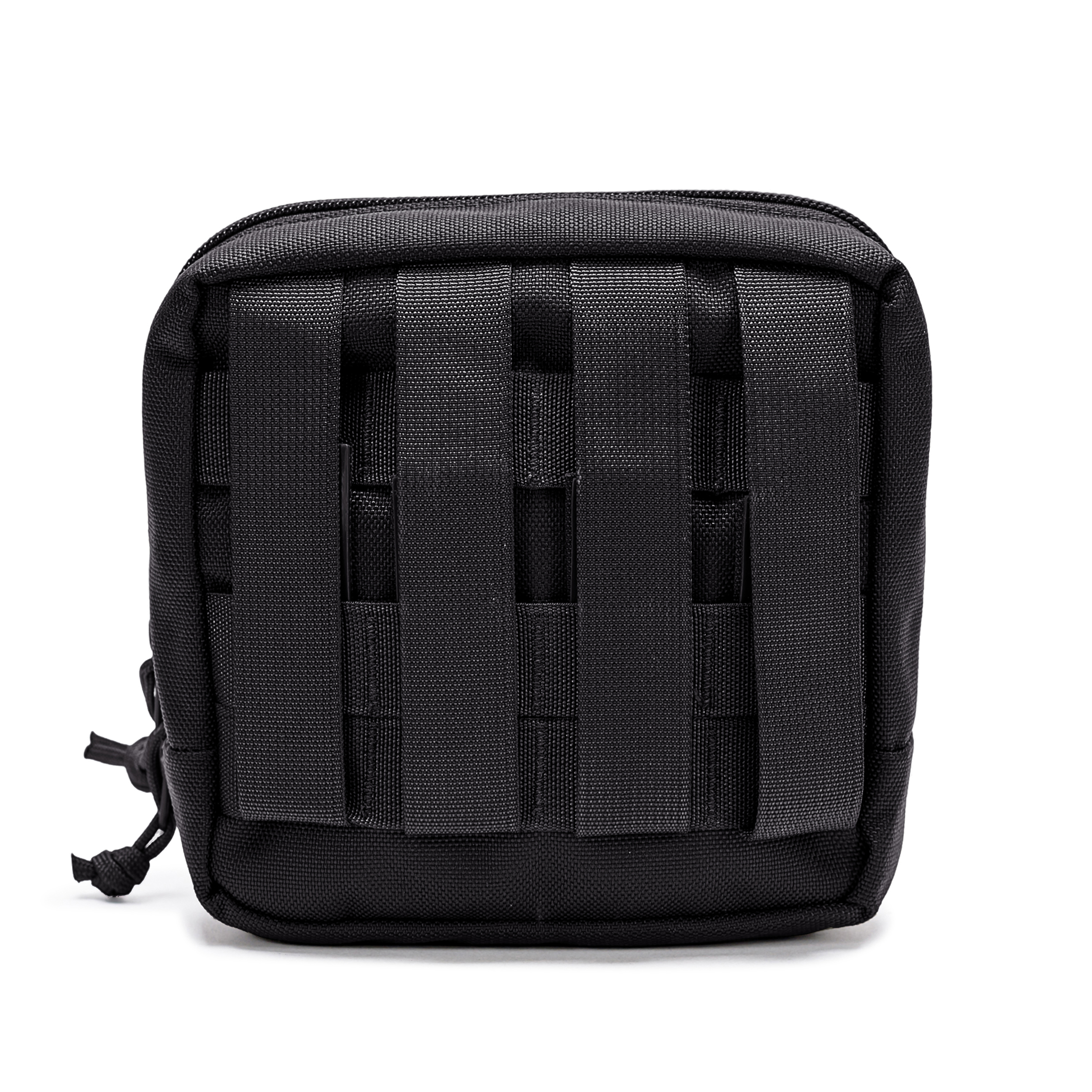 טרנטולה ינואר שחור (18)