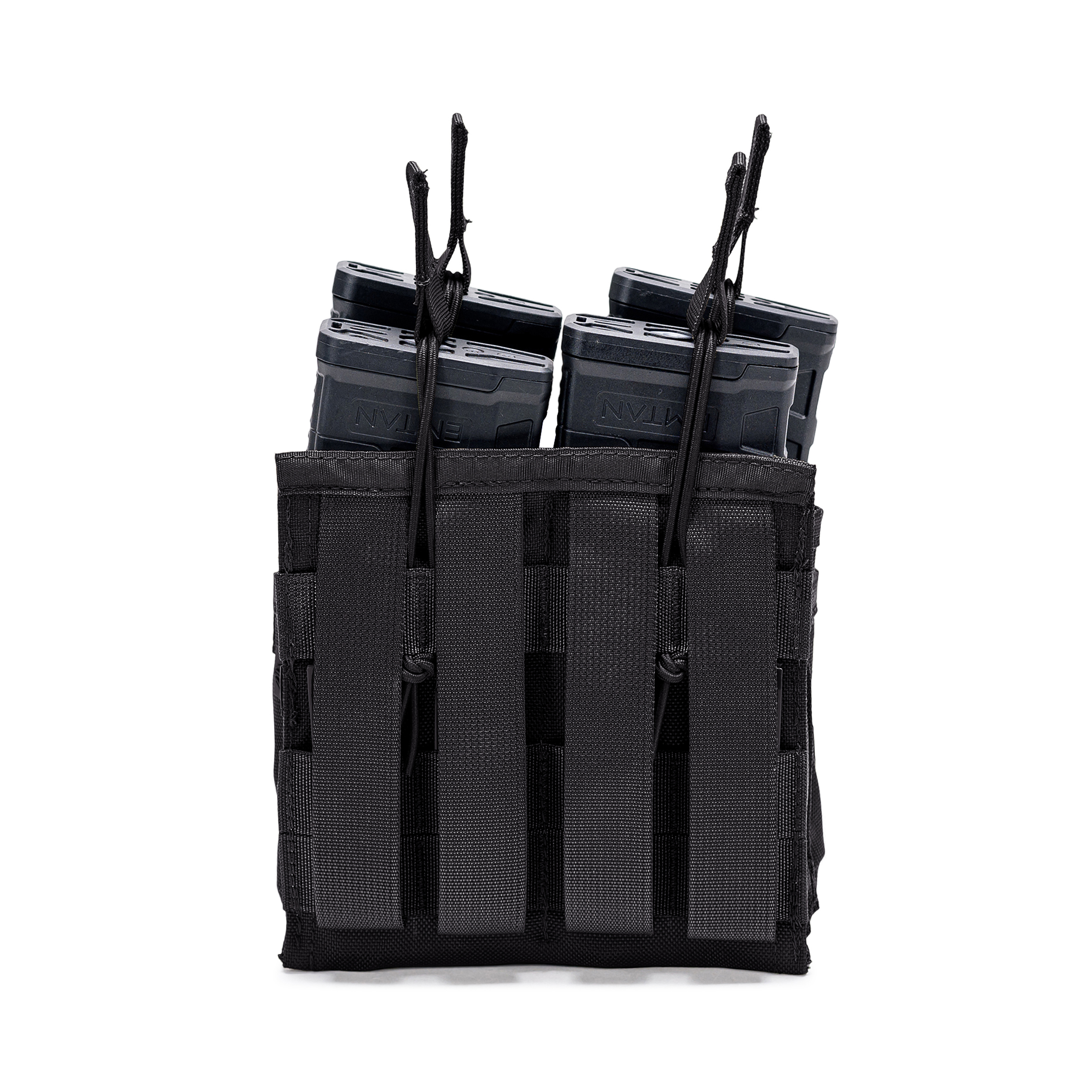 טרנטולה ינואר שחור (56)