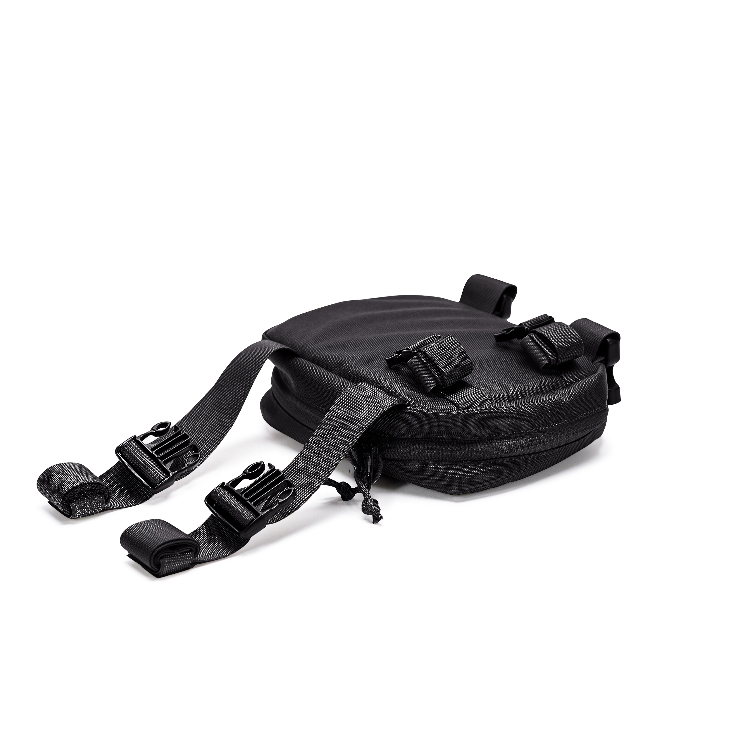 טרנטולה ינואר שחור (76)