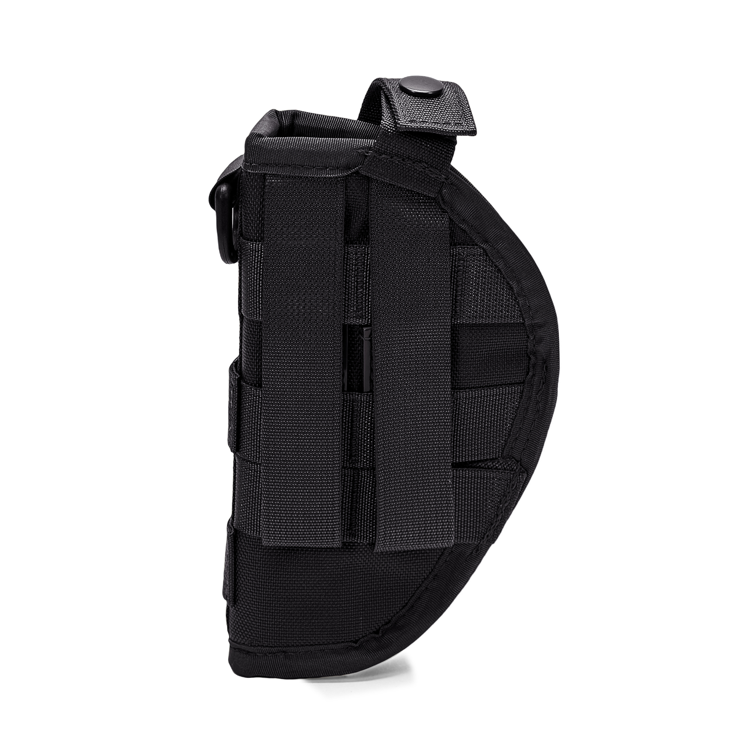 טרנטולה ינואר שחור (83)