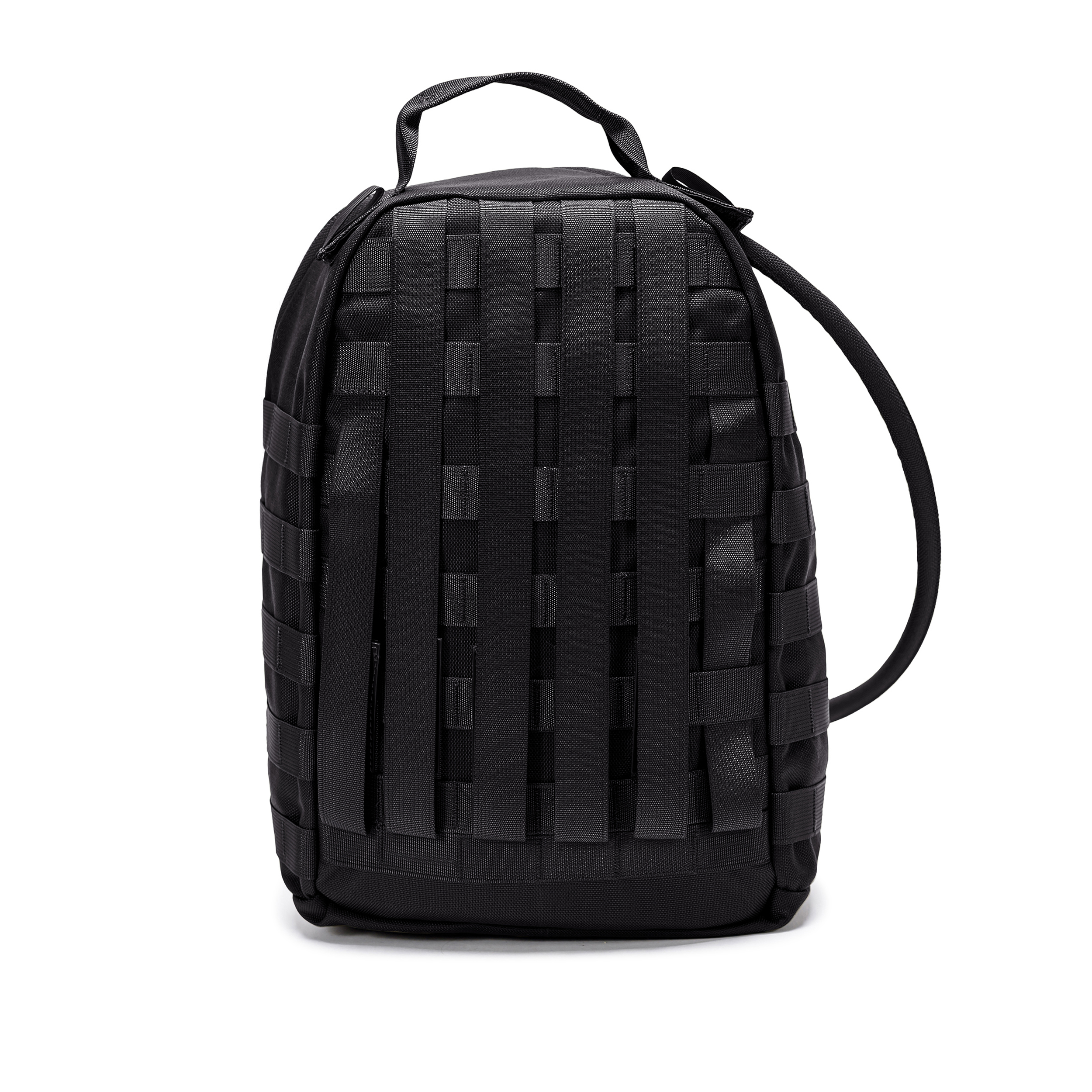 טרנטולה ינואר שחור (89)