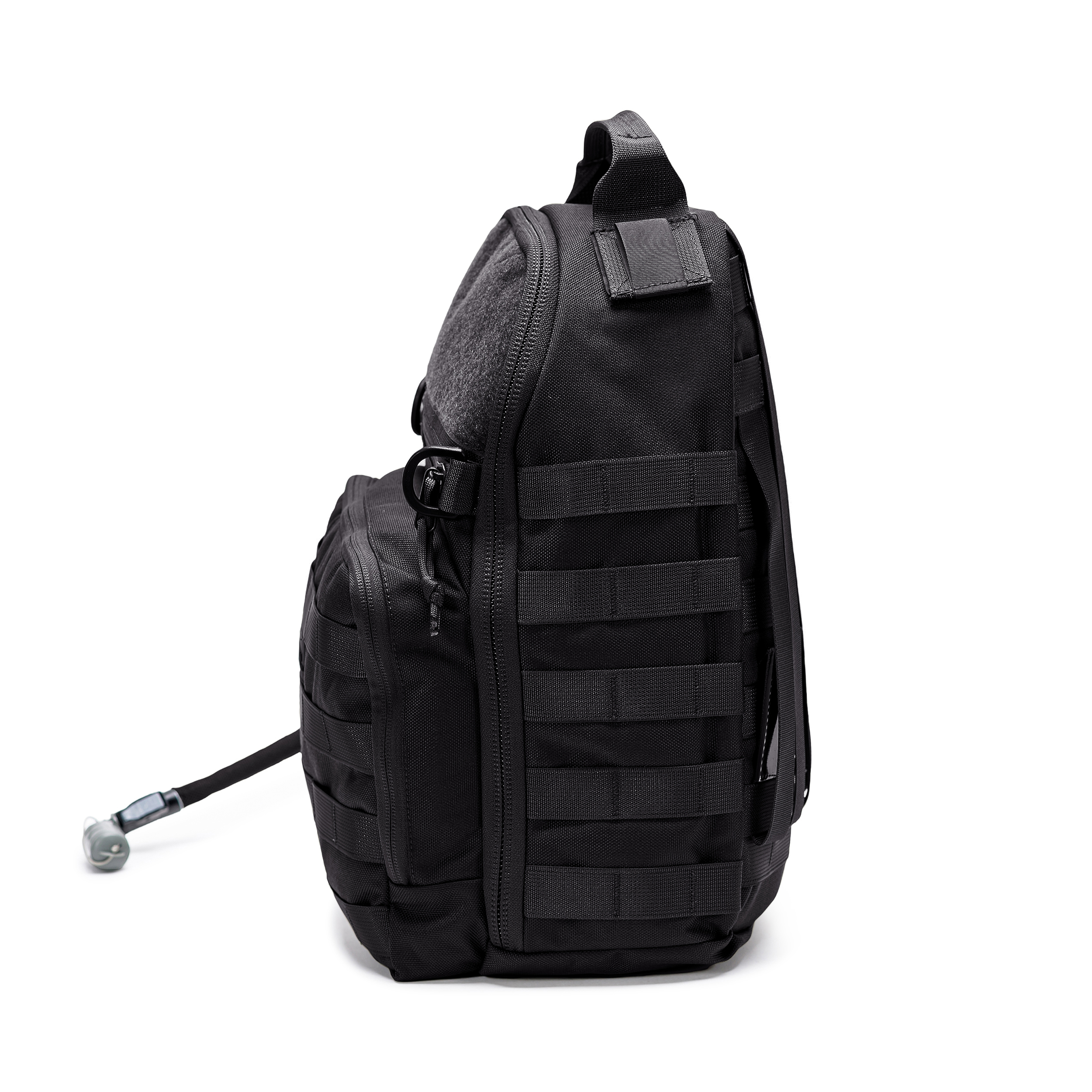 טרנטולה ינואר שחור (90)