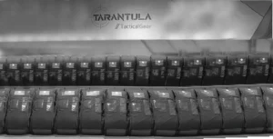 פיתוח אבטיפוס