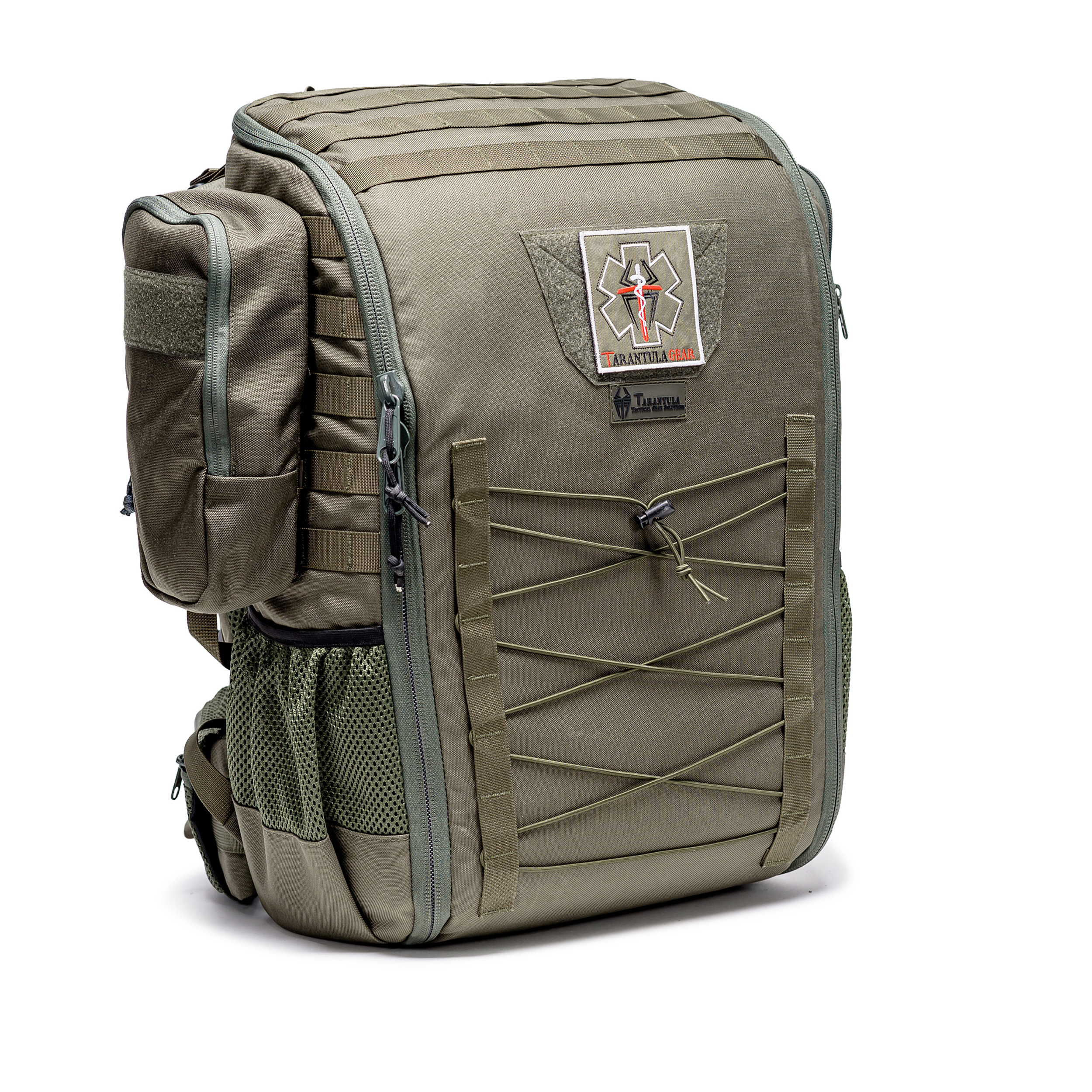 טרנטולה ינואר (264)