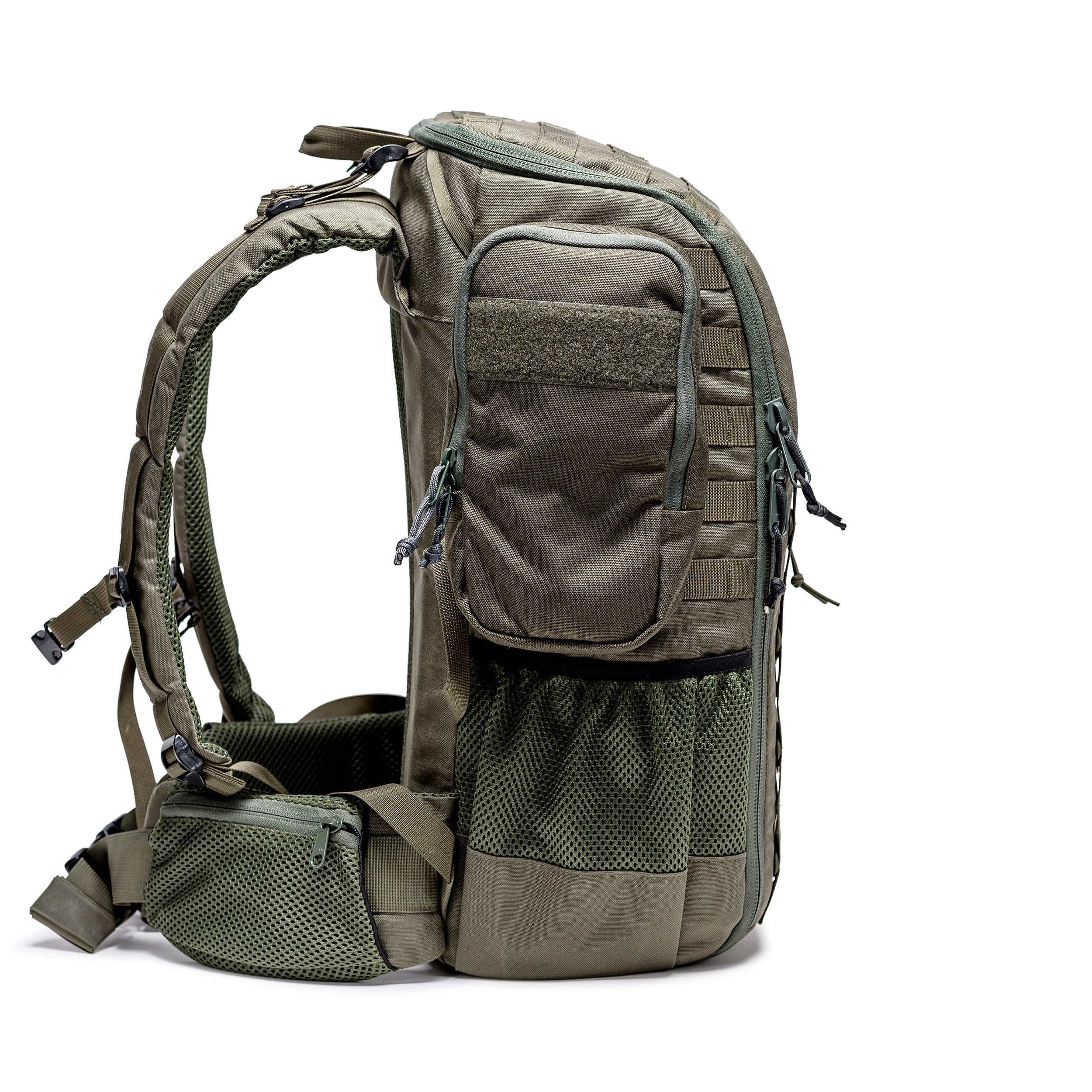 טרנטולה ינואר (265)