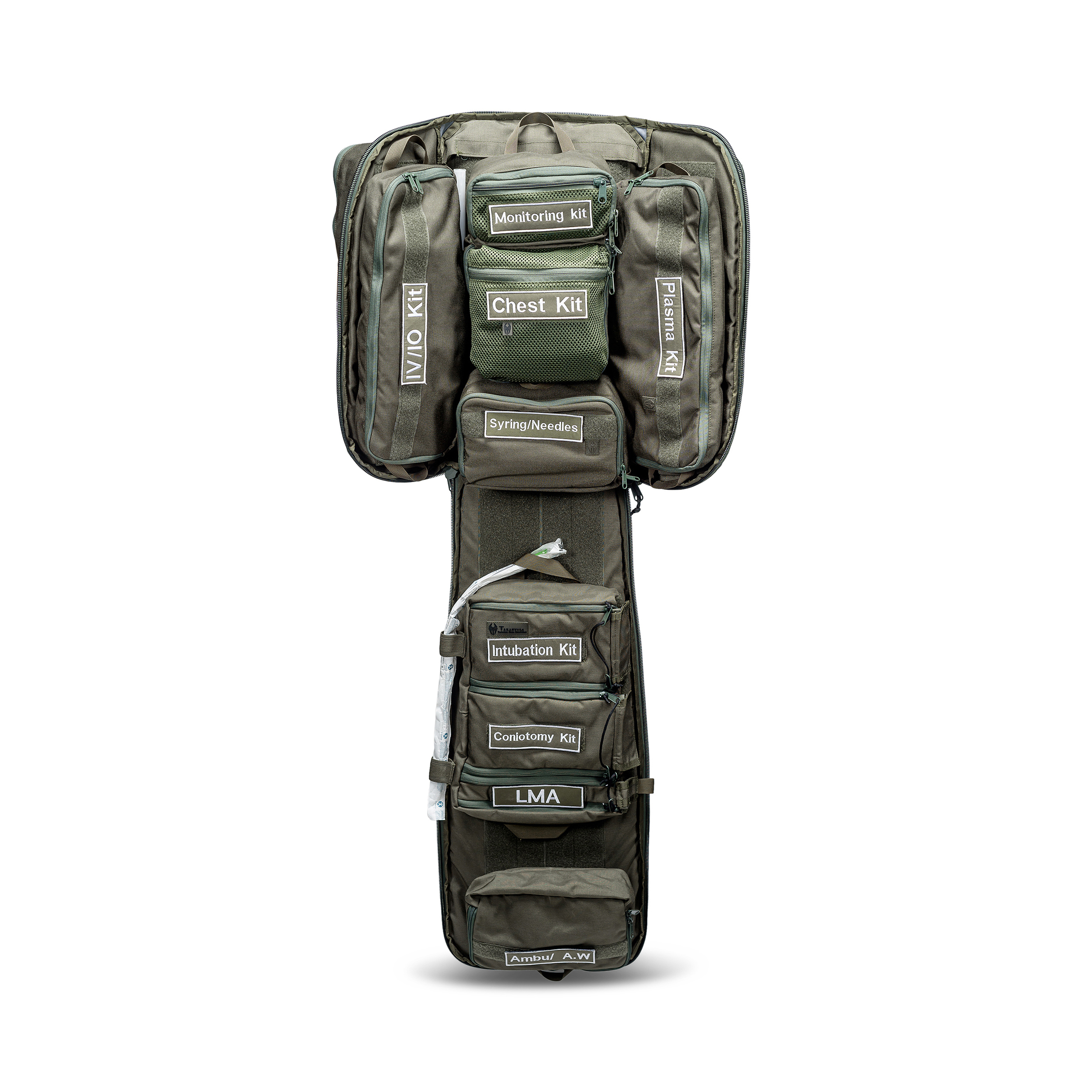 טרנטולה ינואר (395)