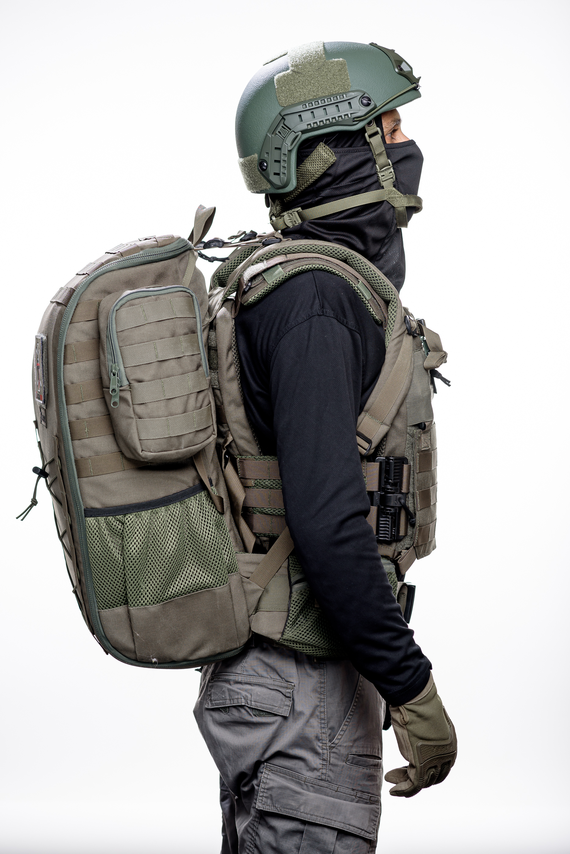 טרנטולה ינואר (495)