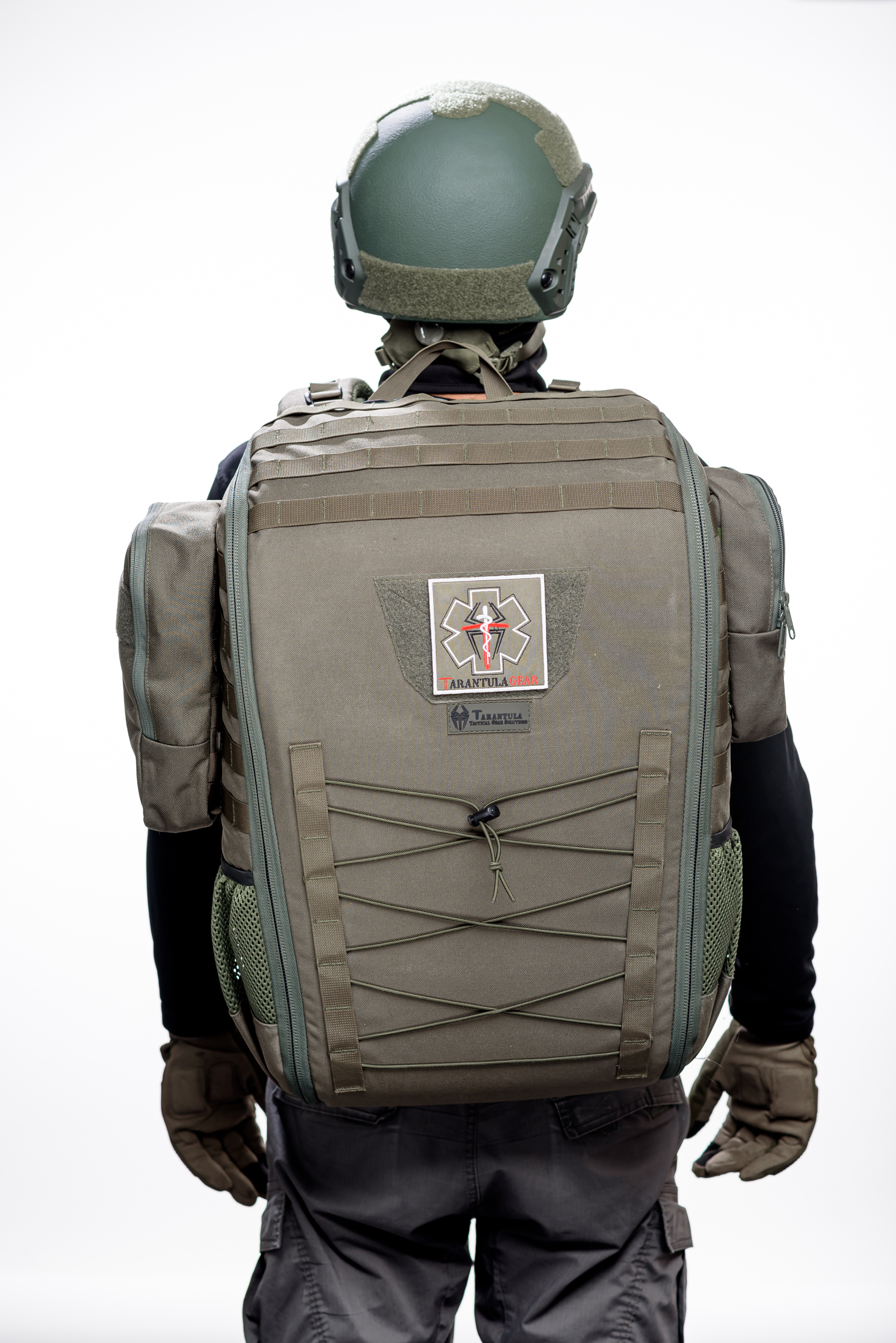 טרנטולה ינואר (497)