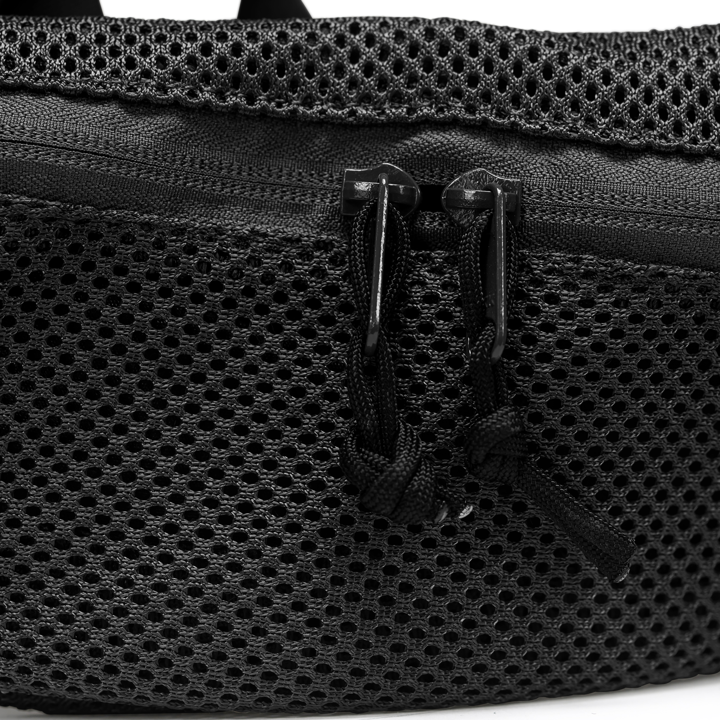 טרנטולה ינואר שחור (127)