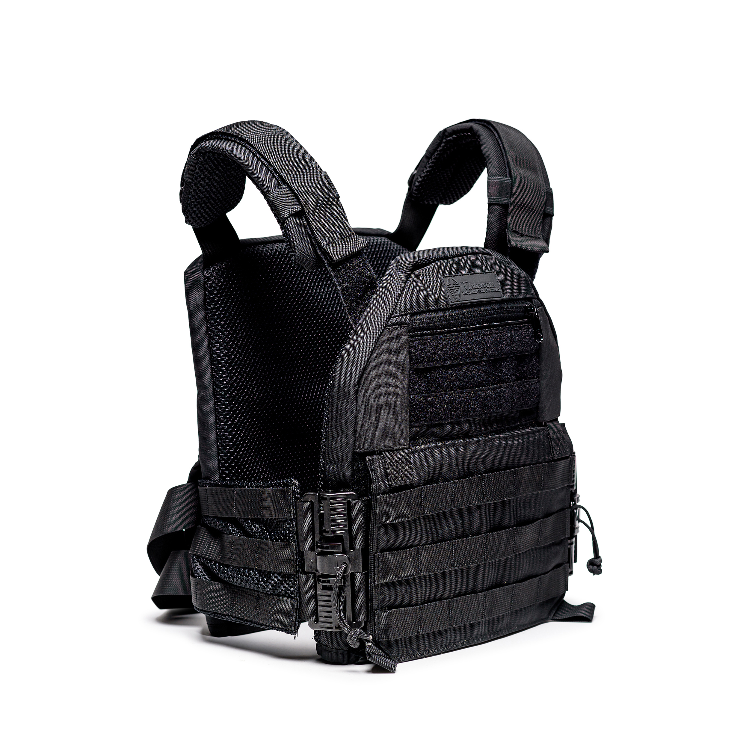 טרנטולה ינואר (292)