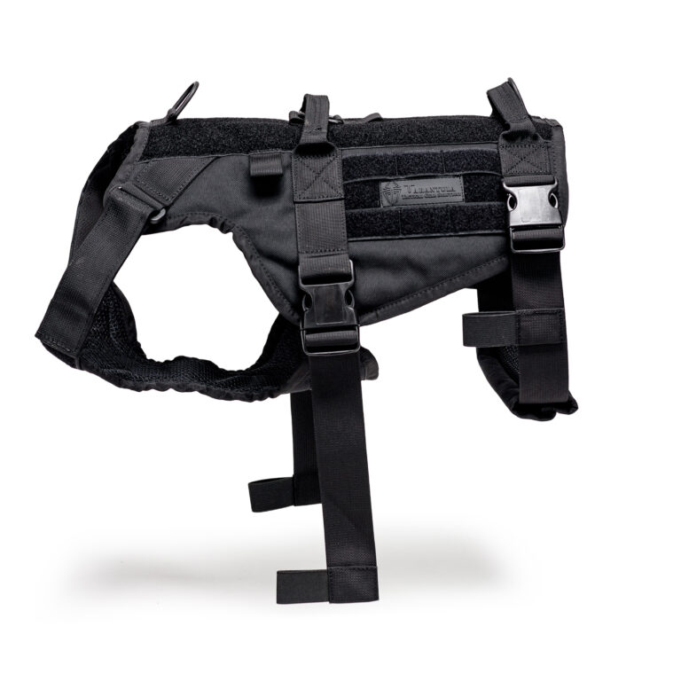 רתמה לכלבים