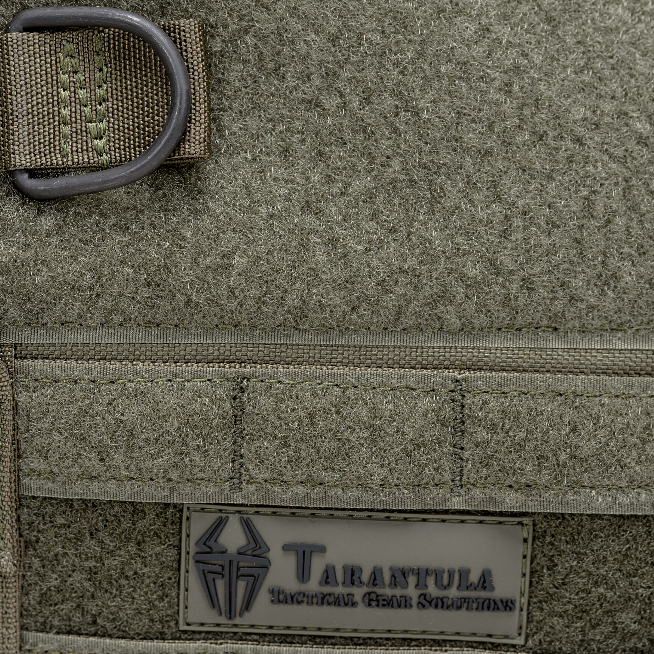 טרנטולה ינואר (325)