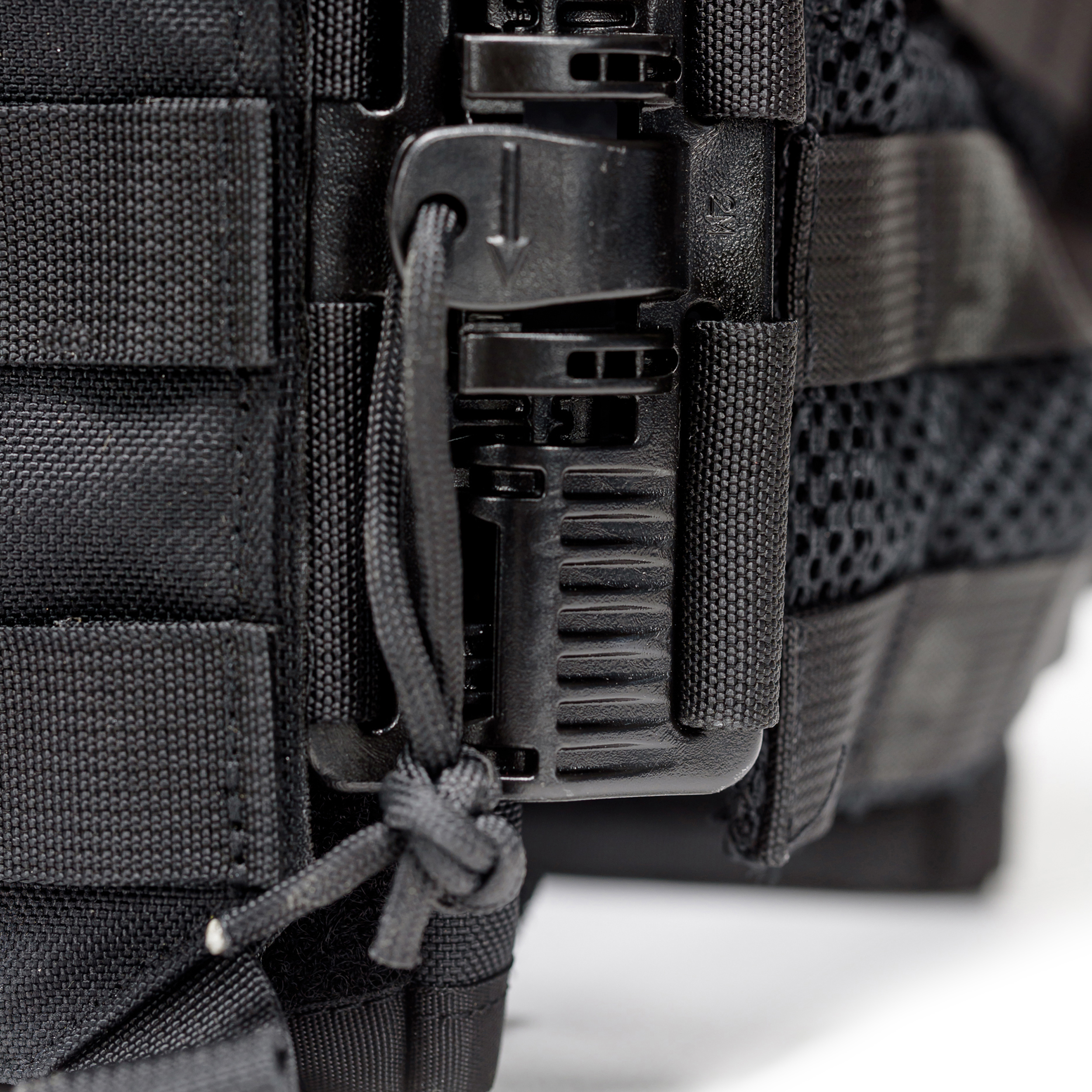 טרנטולה ינואר (339)