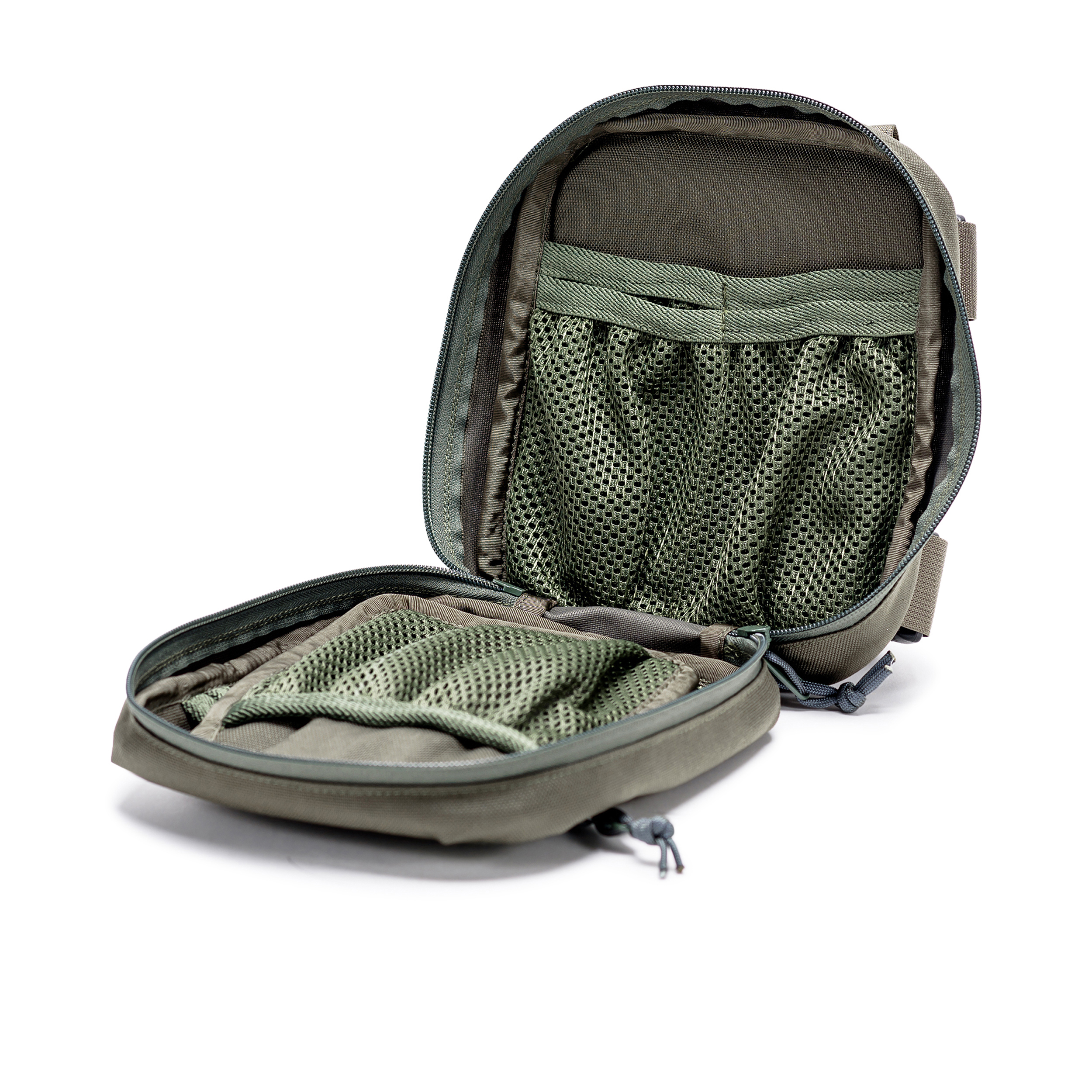 טרנטולה ינואר (86)