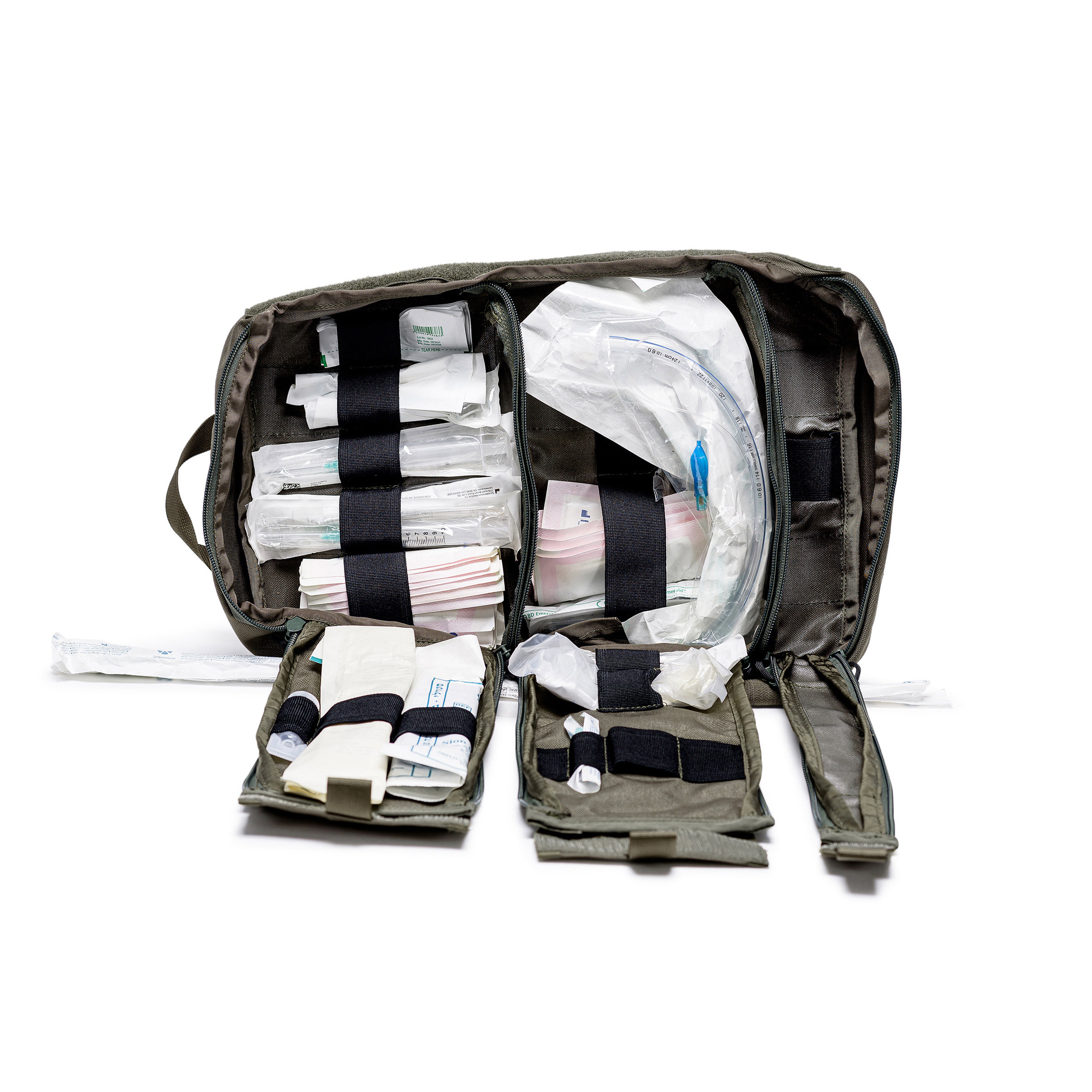 טרנטולה ינואר (239)