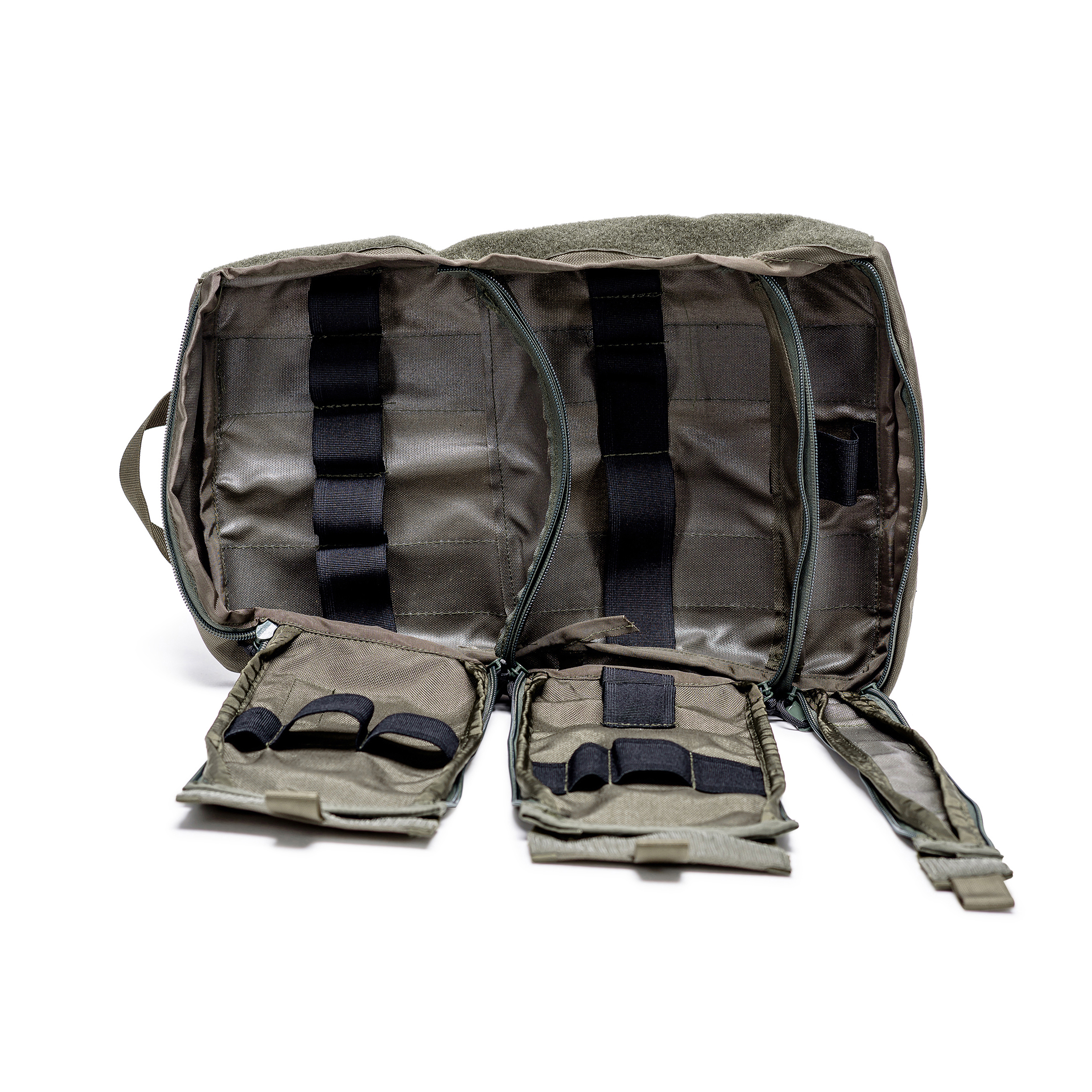 טרנטולה ינואר (241)