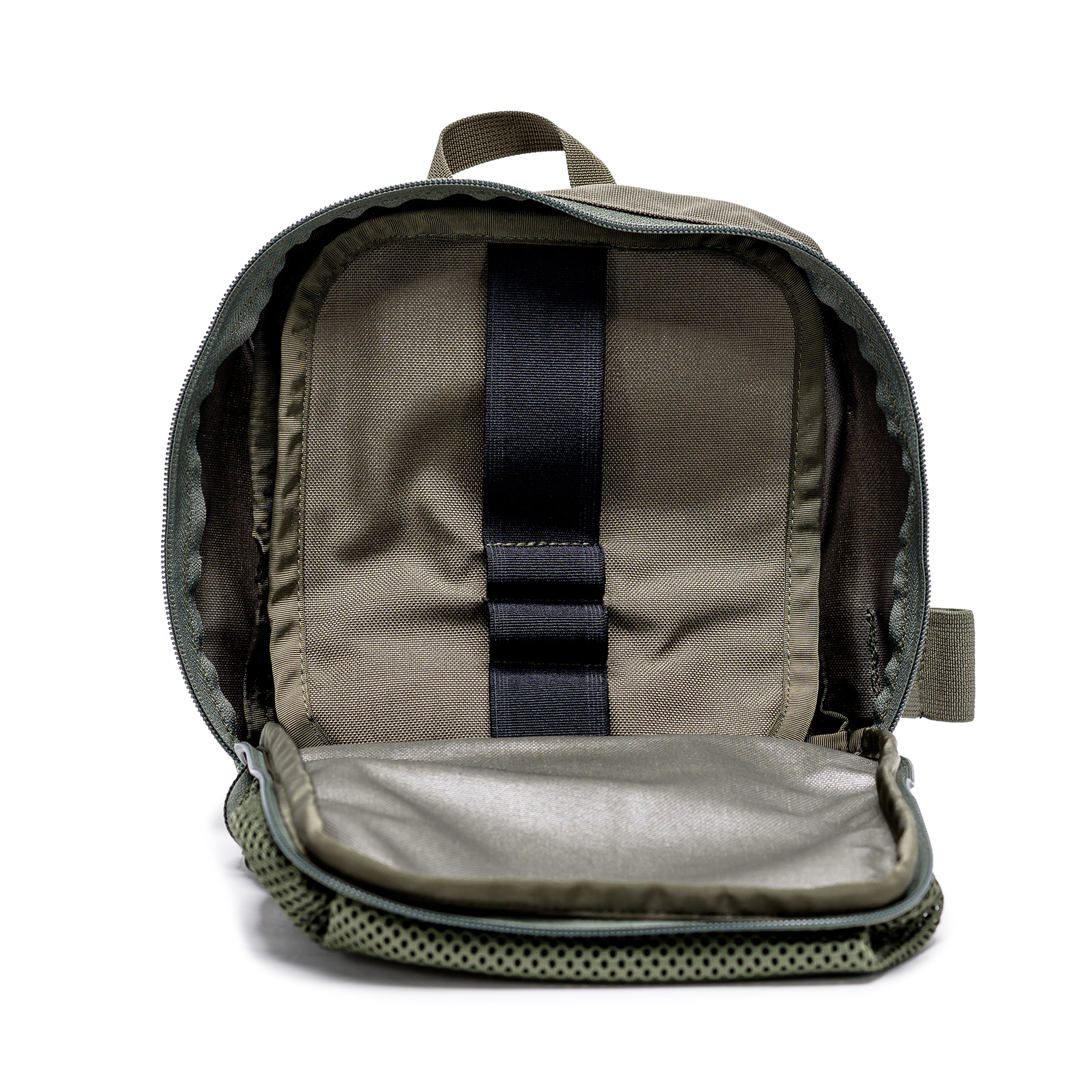 טרנטולה ינואר (251)