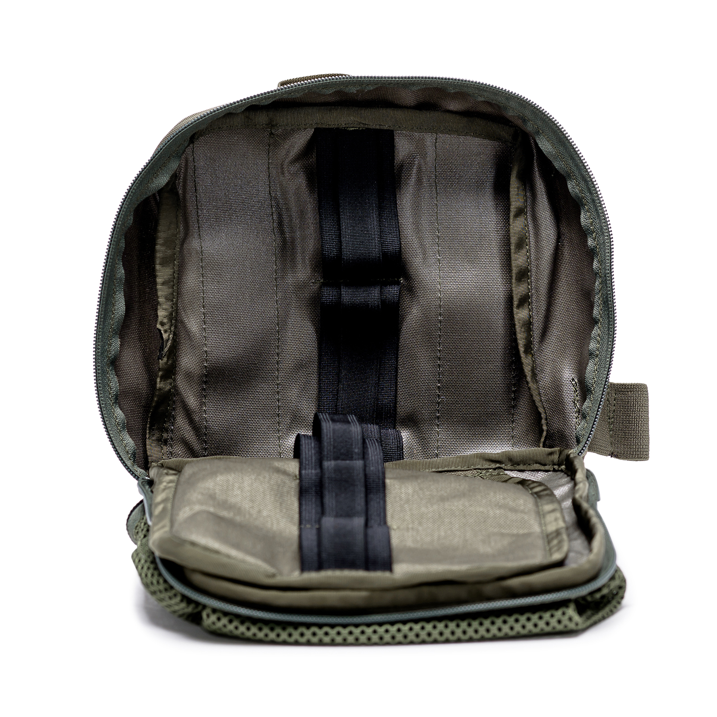 טרנטולה ינואר (252)