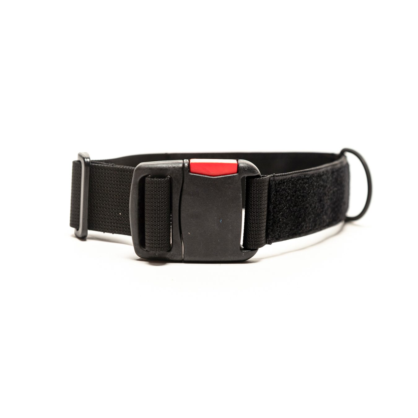 קולר טקטי לכלב