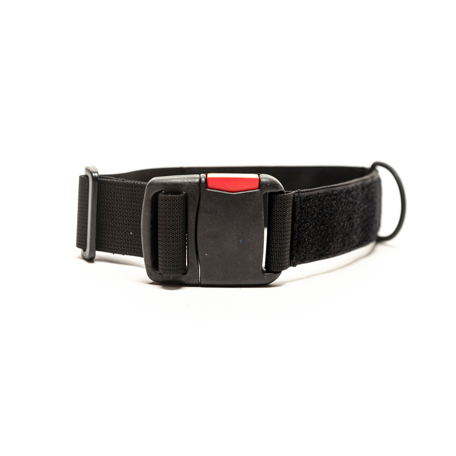 קולר טקטי לכלב