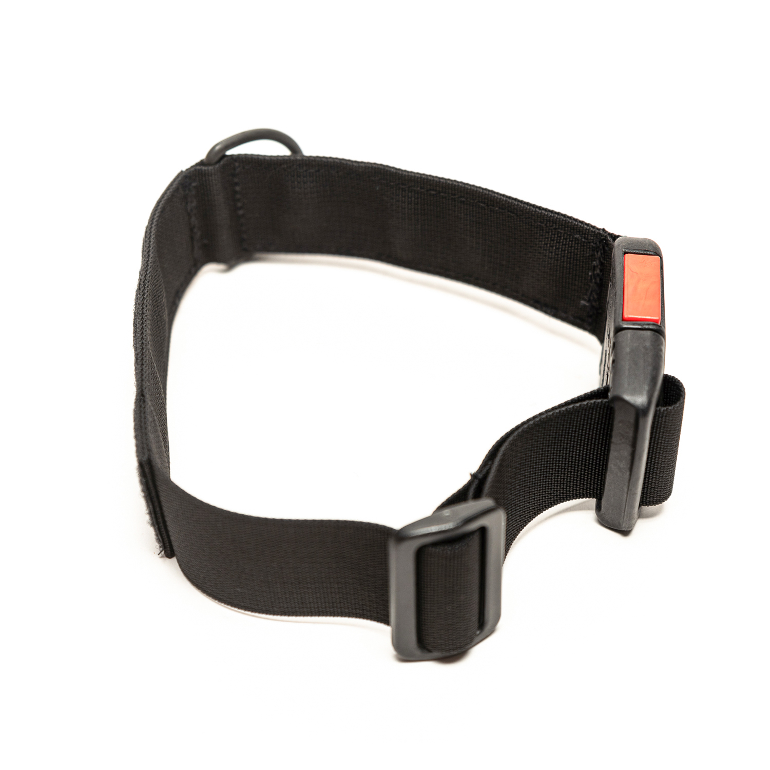 קולר מקצועי לכלב