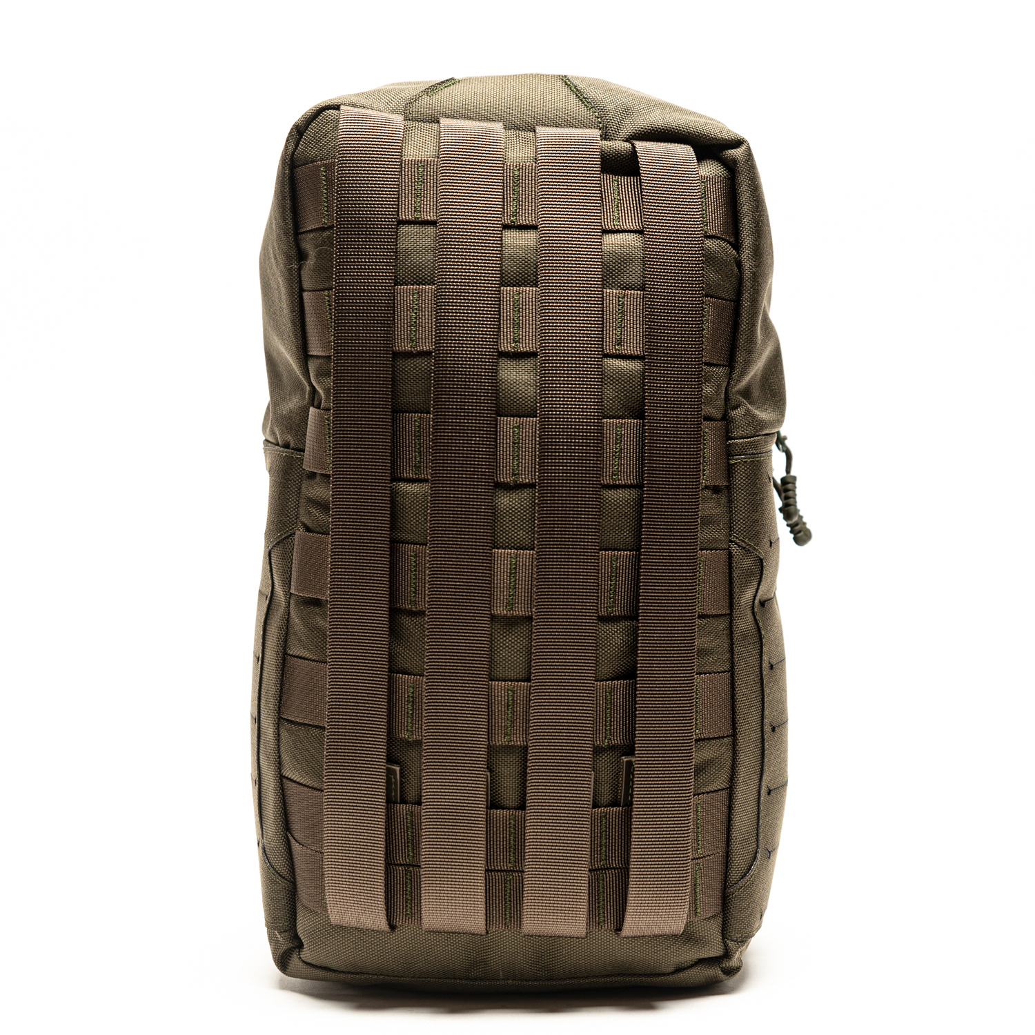 טרנטולה דצמבר (62)