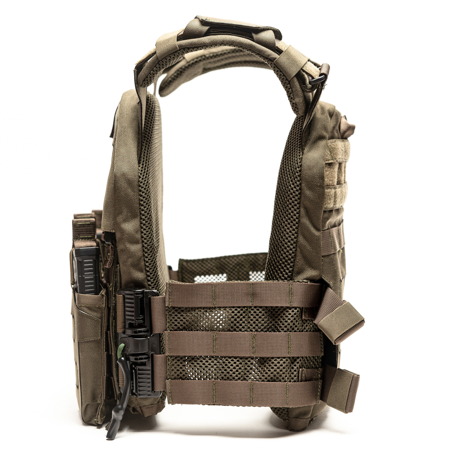 טרנטולה דצמבר (80)