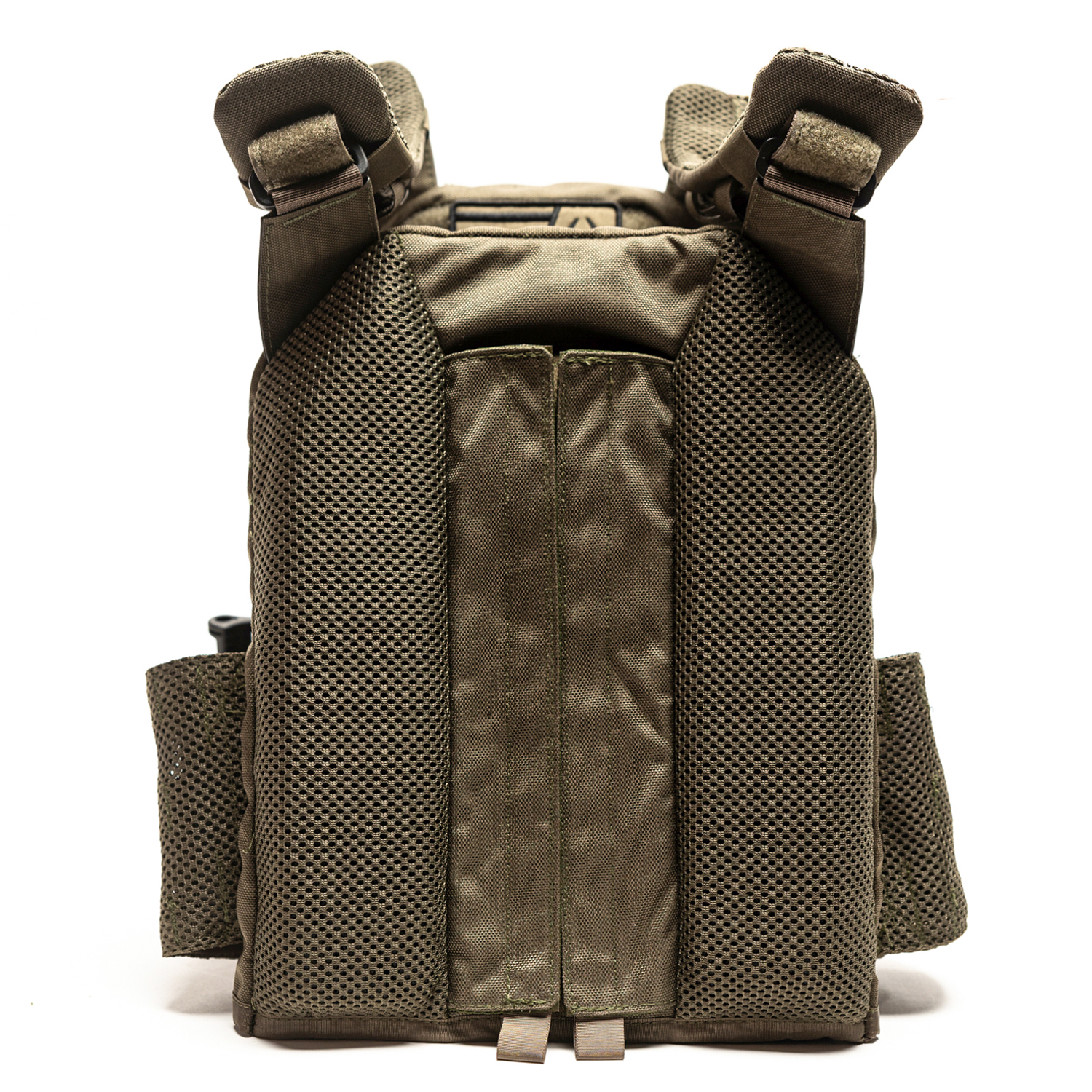 טרנטולה דצמבר (84)