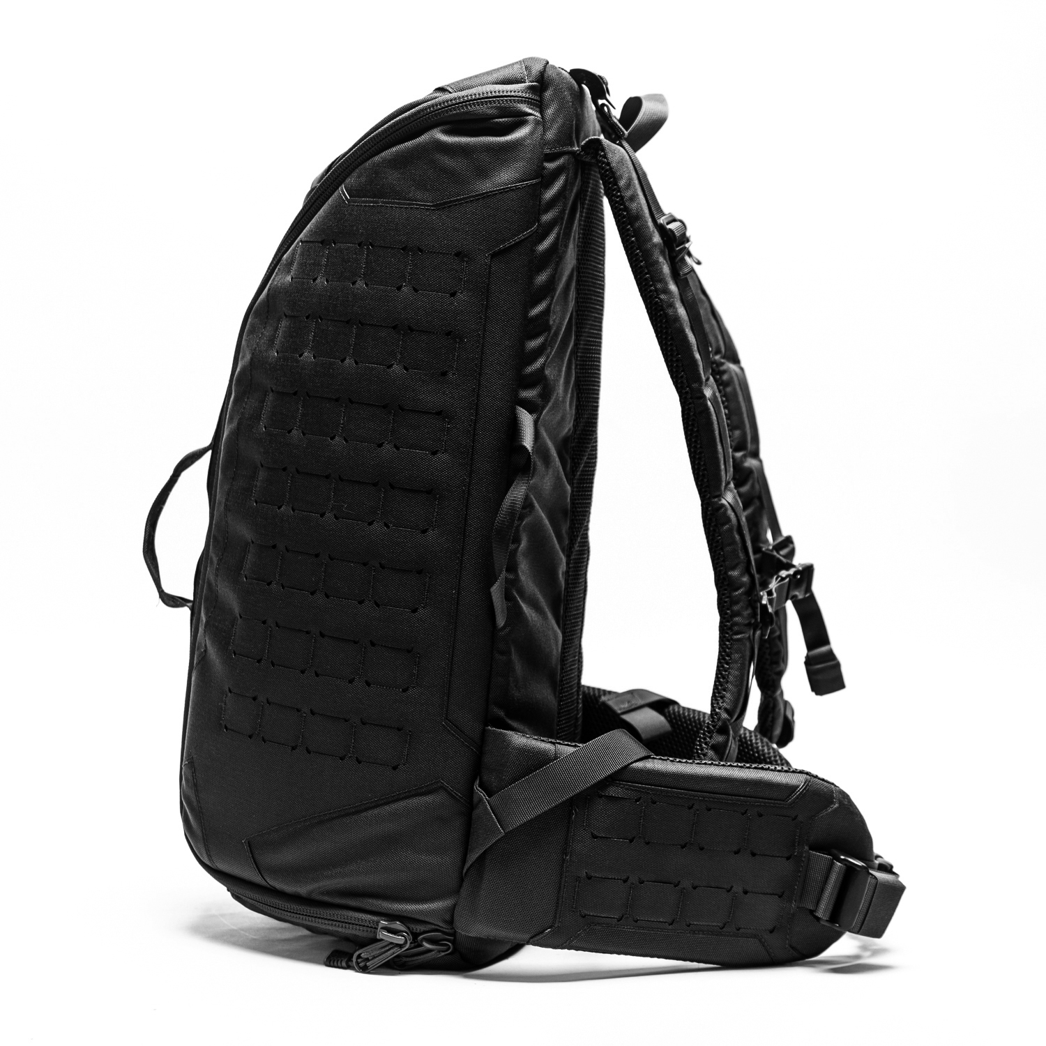 טרנטולה דצמבר (87)