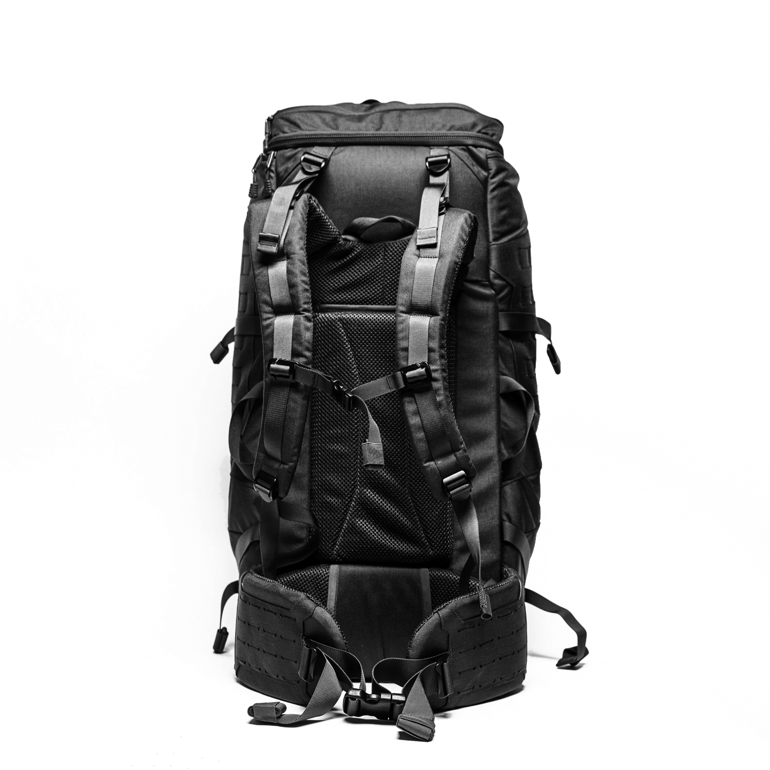 טרנטולה דצמבר (92)