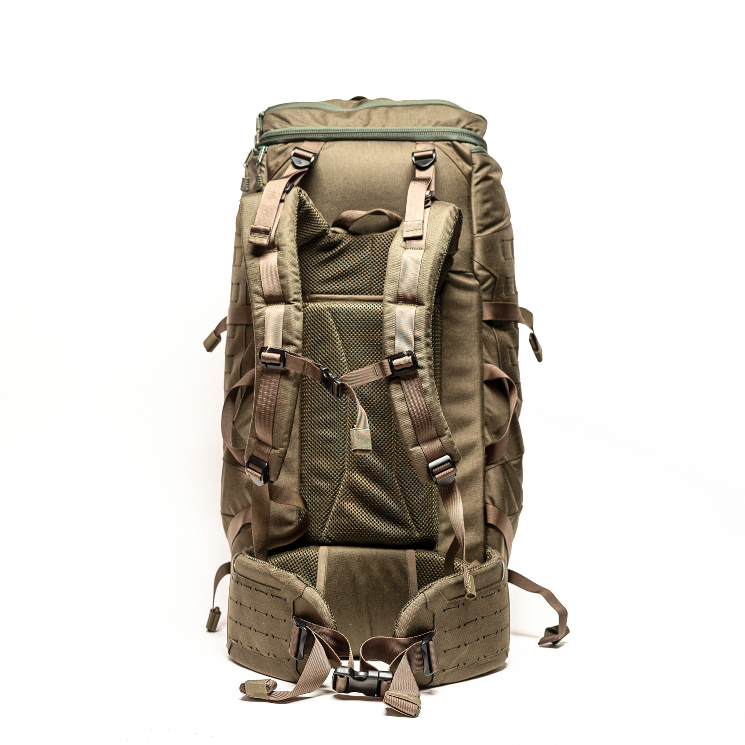 טרנטולה דצמבר (92)